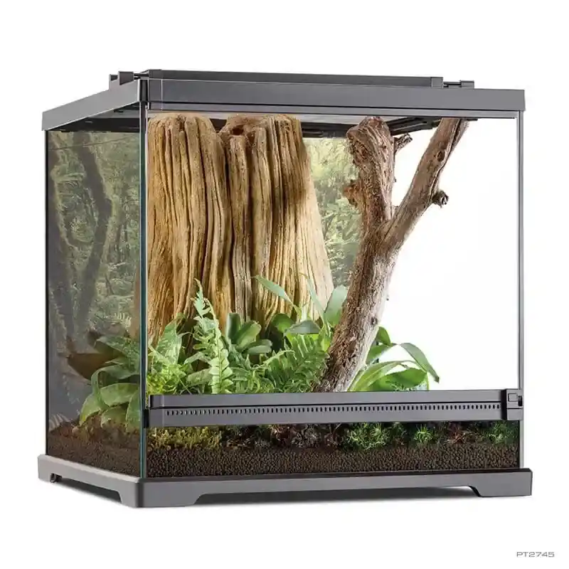 Exo Terra Dart Frog Terrarium Small Wide - Terrariums/Cages