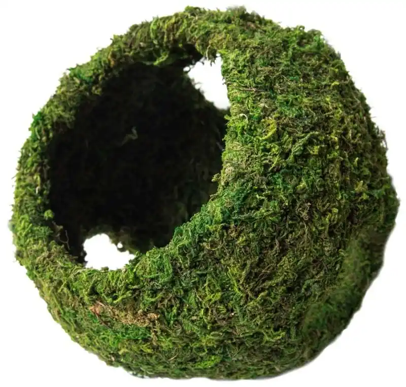 Galapagos Mossy Cave 8" - Reptile/Turtle/Insect Supplies
