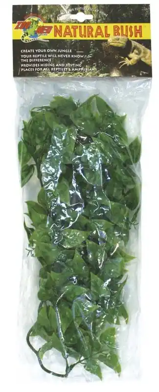 Zoo Med Mexican Phyllo, Medium - Reptile/Turtle/Insect Supplies