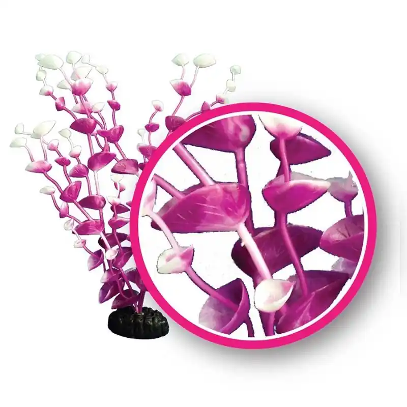 WECO Magenta Tulips 9" - Aquarium Supplies