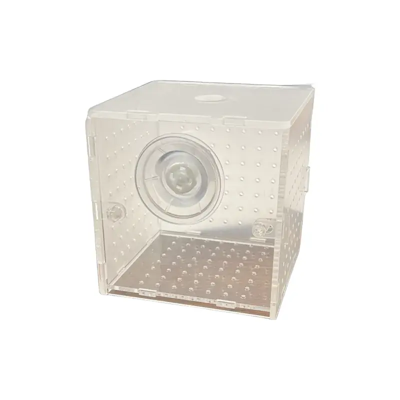 Camry Acrylic Isolation Tank SAB-4 4"x4"x4"