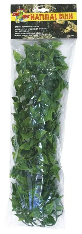Zoo Med Mexican Phyllo, Large - Reptile/Turtle/Insect Supplies