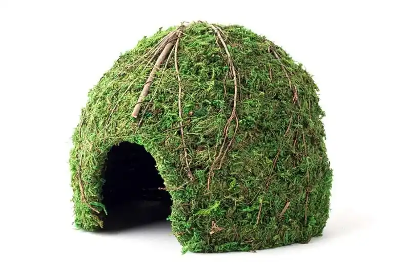 Galapagos Mossy Dome Terrarium Hideaway 9 inch - Decorations/Terrarium Accessories