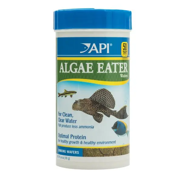 API Algae Eater Wafers 6.4 OZ - Aquarium Supplies