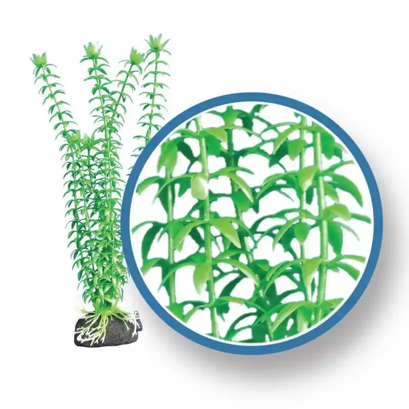 WECO Tonina Plant 12" - Aquarium Supplies