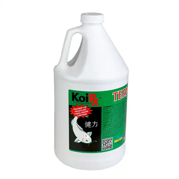 Aqua Meds Terminate, 1 Gallon