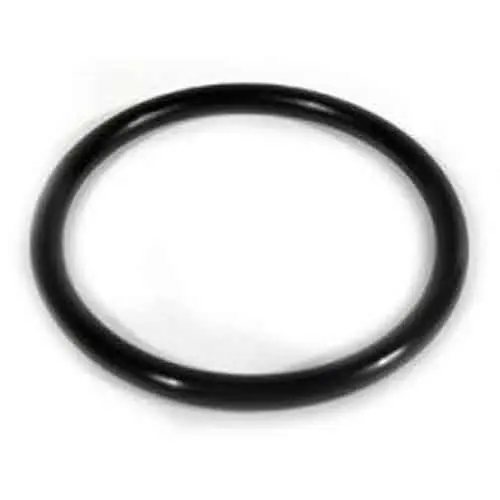 Aqua Ultraviolet 2" Filter Union O-ring (A50186)