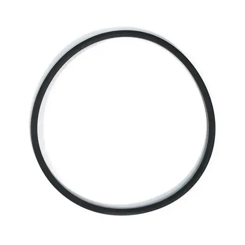 Aqua Ultraviolet Ultima II, O-Ring Valve Cover 1-1/2"