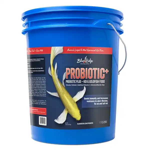 Blue Ridge Floating Probiotic Plus Koi & Goldfish Food, 14 lbs. Bucket, Standard Pellet 3/16"
