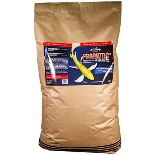 Blue Ridge Floating Probiotic Plus Koi & Goldfish Food, 50 lbs. (bag), Standard Pellet 3/16"
