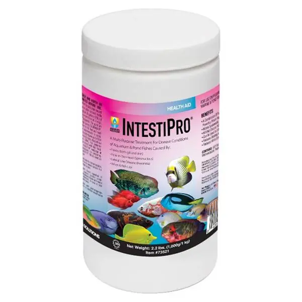 Hikari IntestiPro, 2.2 lbs.