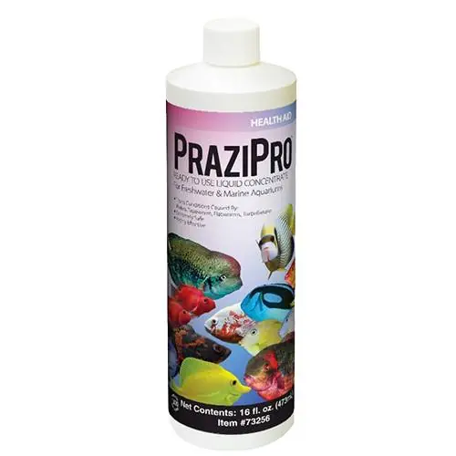 Hikari PraziPro, 16 Ounces