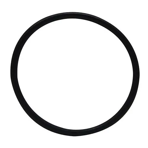 Laguna Pressure-Flo Pressurized Filter UV-C Head O-Ring