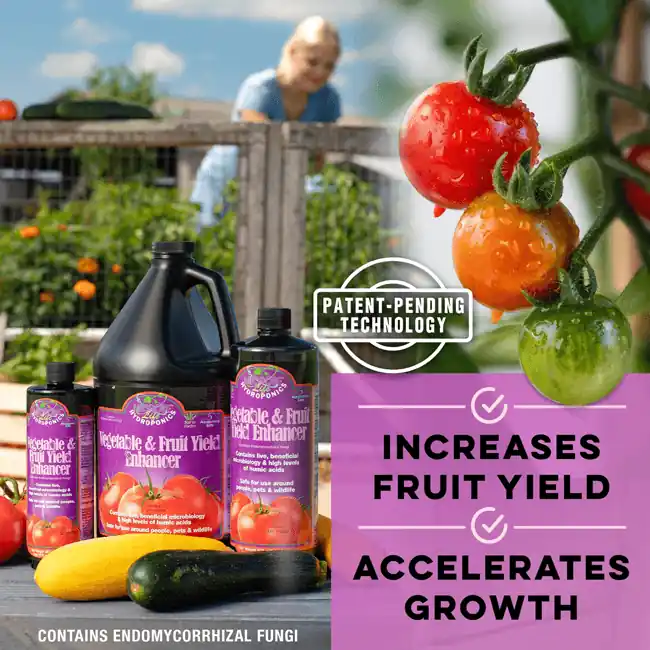 Microbe-Life Hydroponics Vegetable & Fruit Yield Enhancer 5 gallon