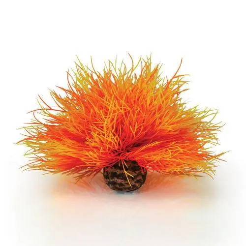 Oase biOrb Aquatic Sea Lily Orange