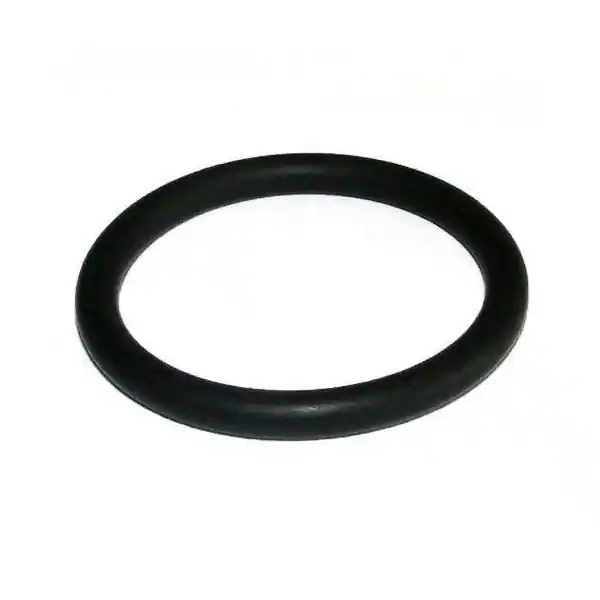 Oase Quartz Sleeve O-ring for Bitron 55, FiltoClear 8000 & 8200