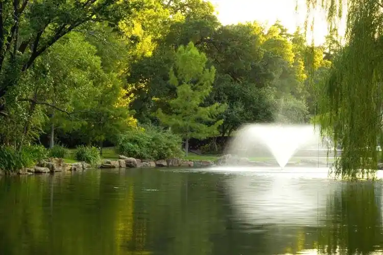 Scott Aerator DA-20 Pond Aerator - 3 HP