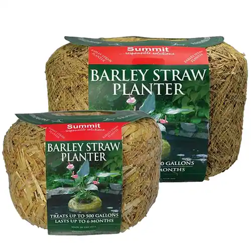 Summit Barley Straw Planters - Summit Chemical Co.