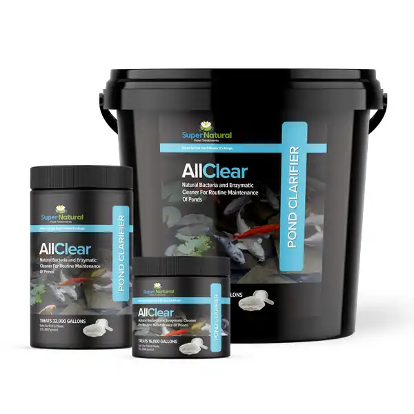 SuperNatural AllClear - Dry Bacteria Pond Clarifier