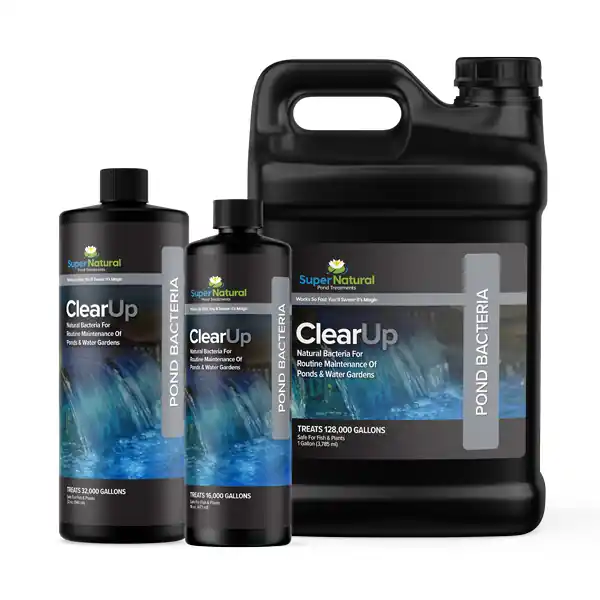 SuperNatural ClearUp - Liquid Pond Bacteria