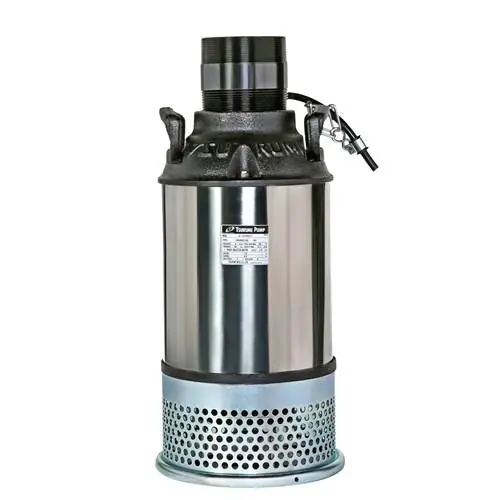 Tsurumi 1/2 HP High Flow Water Feature Pump