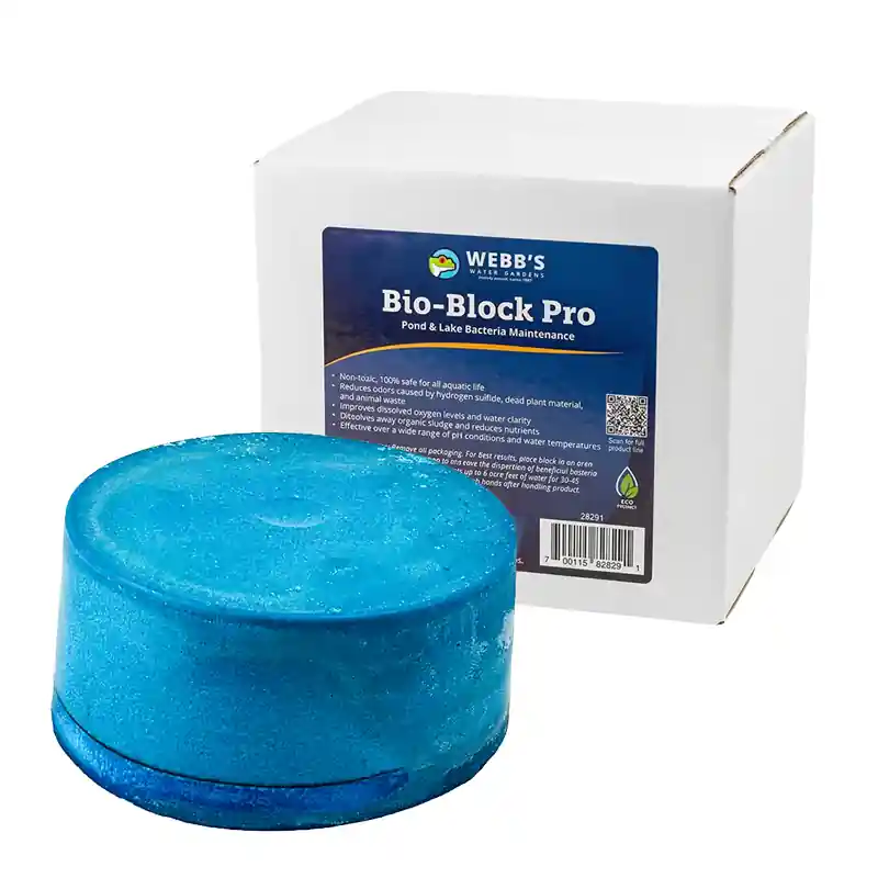 Webb's Bio-Block Pro 5 lbs - Lake Bacteria
