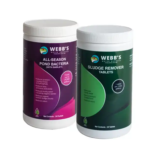 Webb's Clear Water Package Medium - 24 packets & tablets