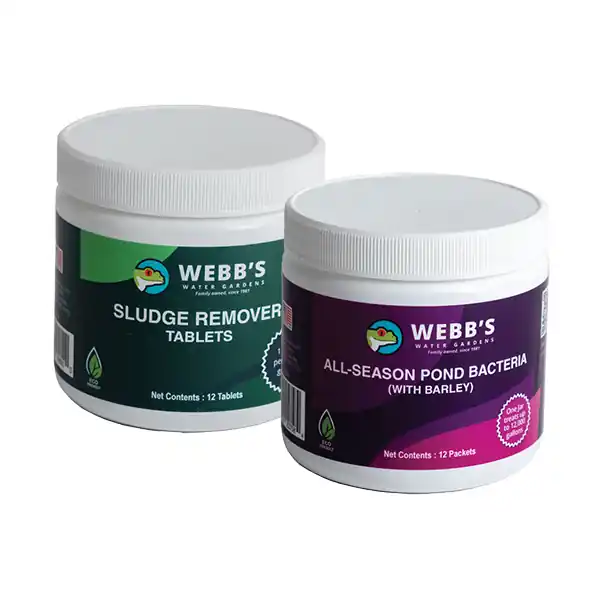 Webb's Clear Water Package Small - 12 packets & tablets