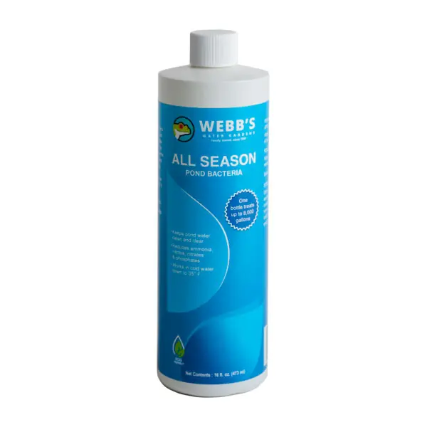 Webb's Water Gardens All Season Pond Bacteria - Liquid