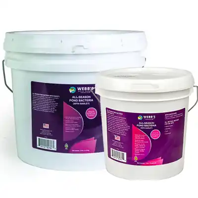 Webb's Water Gardens All-Season Pond & Lake Bacteria with Barley - 8 oz Water Soluble Packets