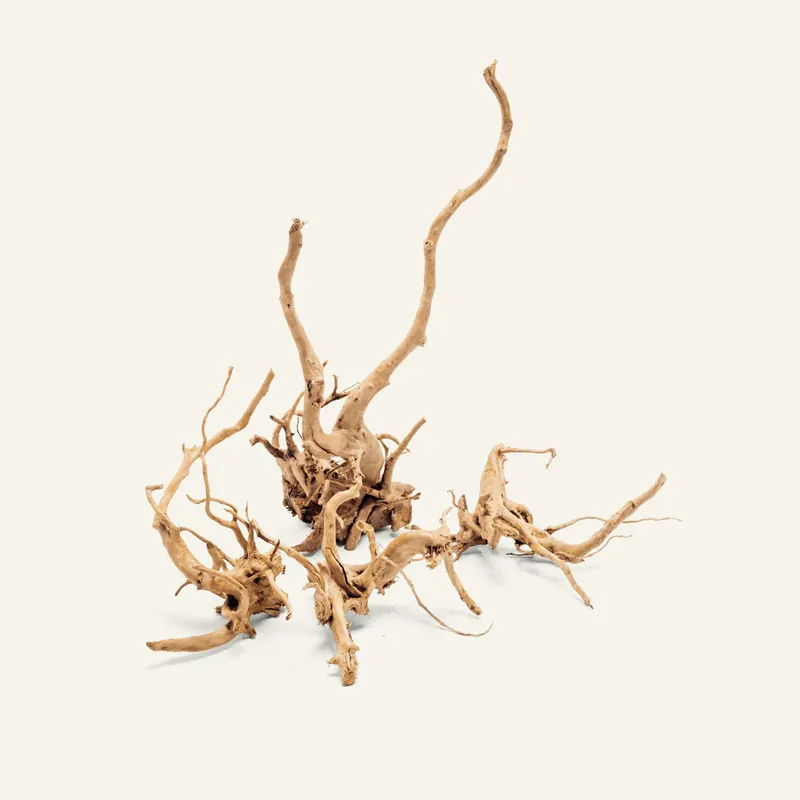 Spider Wood - UNSHARDSCAPE