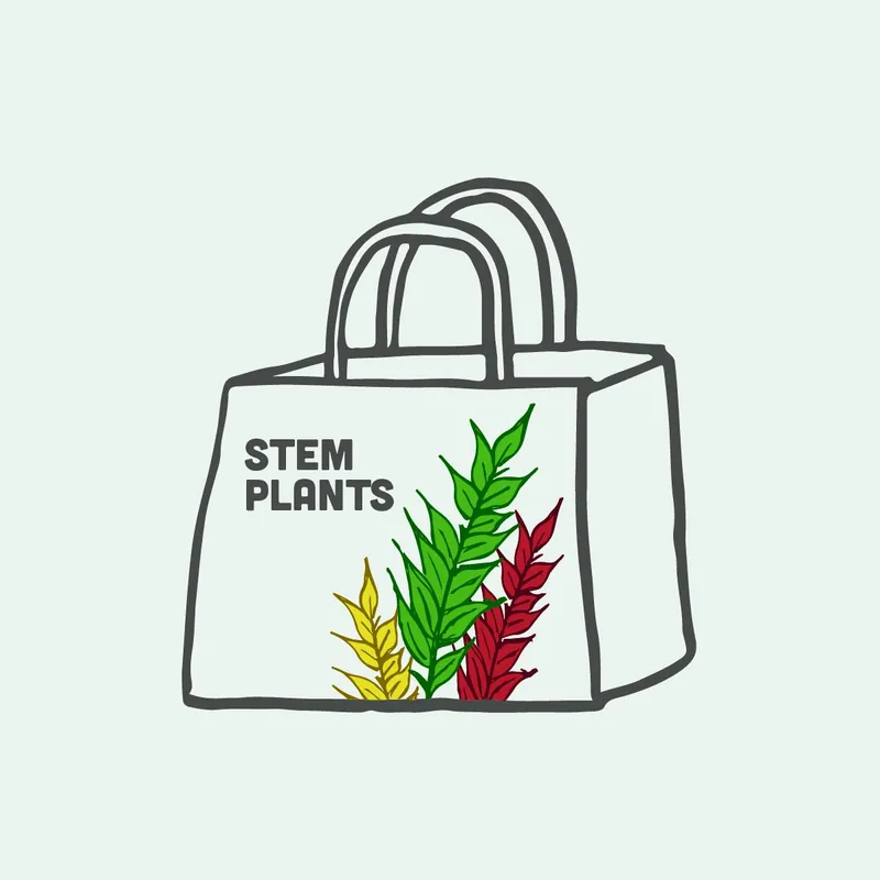 Mystery Stem Plant Bag - WCA