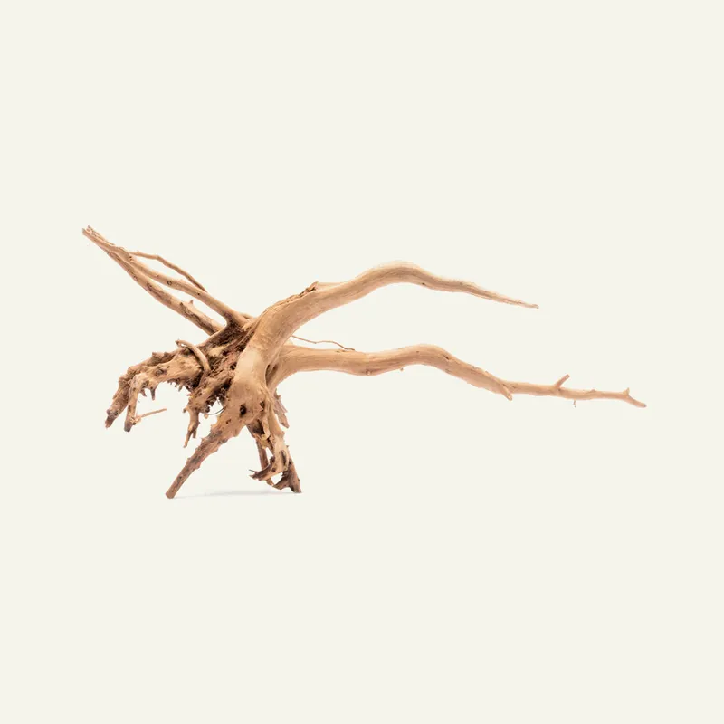 Spider Wood Nano - UNSHARDSCAPE