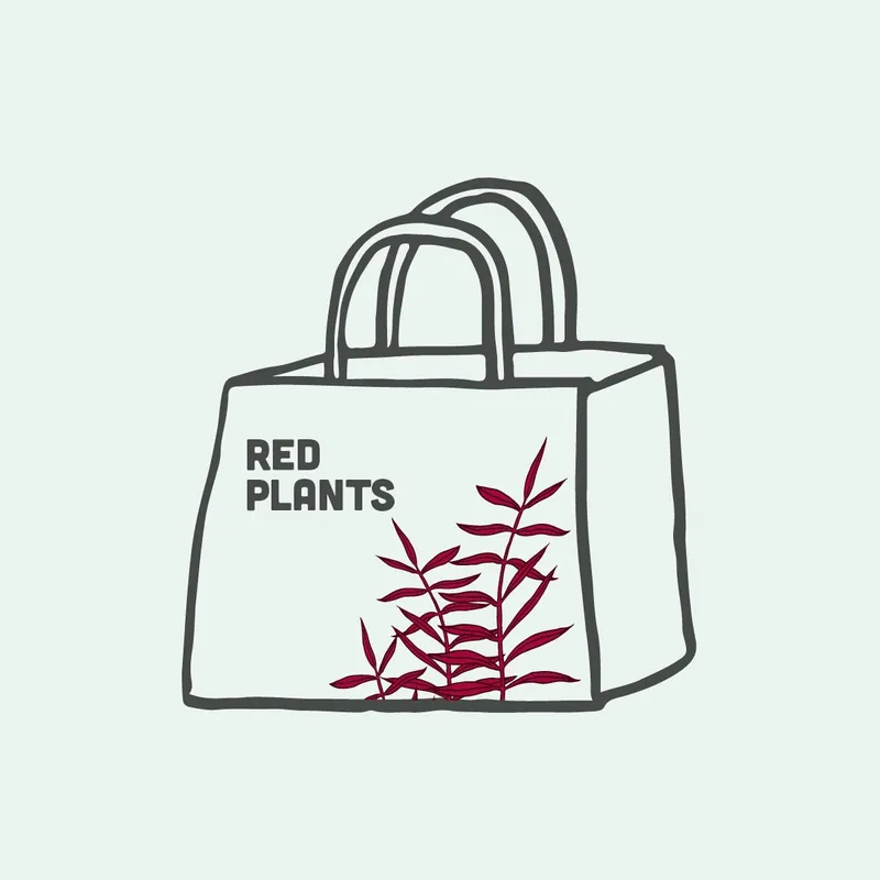 Mystery Red Plant Bag - WCA