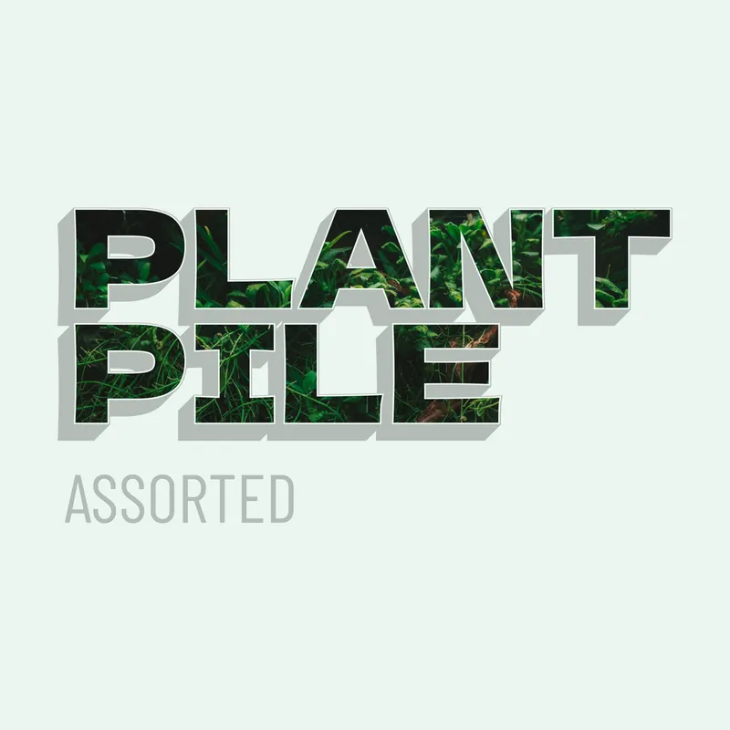 Plant Pile - Assorted Aquarium Plant Bundle