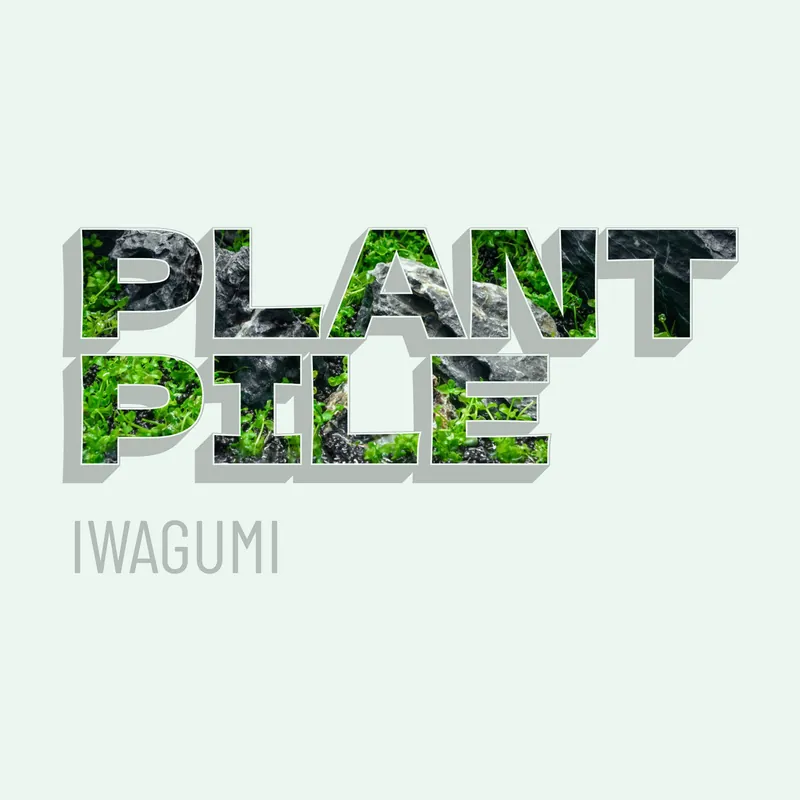 Plant Pile - Iwagumi Aquarium Plant Bundle