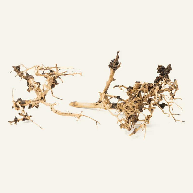Tree Branch Driftwood - UNSHARDSCAPE