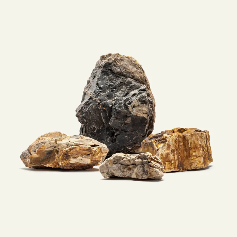 Petrified Wood Stone - UNSHARDSCAPE