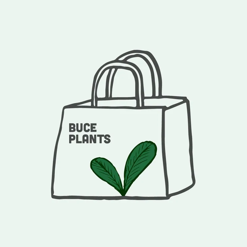 Mystery Buce Plant Bag - CPA