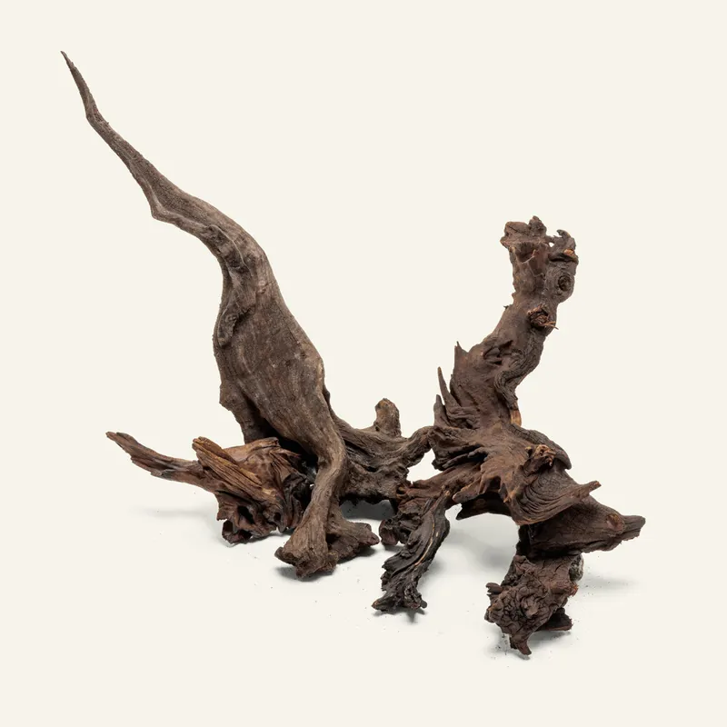 Malaysian Driftwood - UNSHARDSCAPE