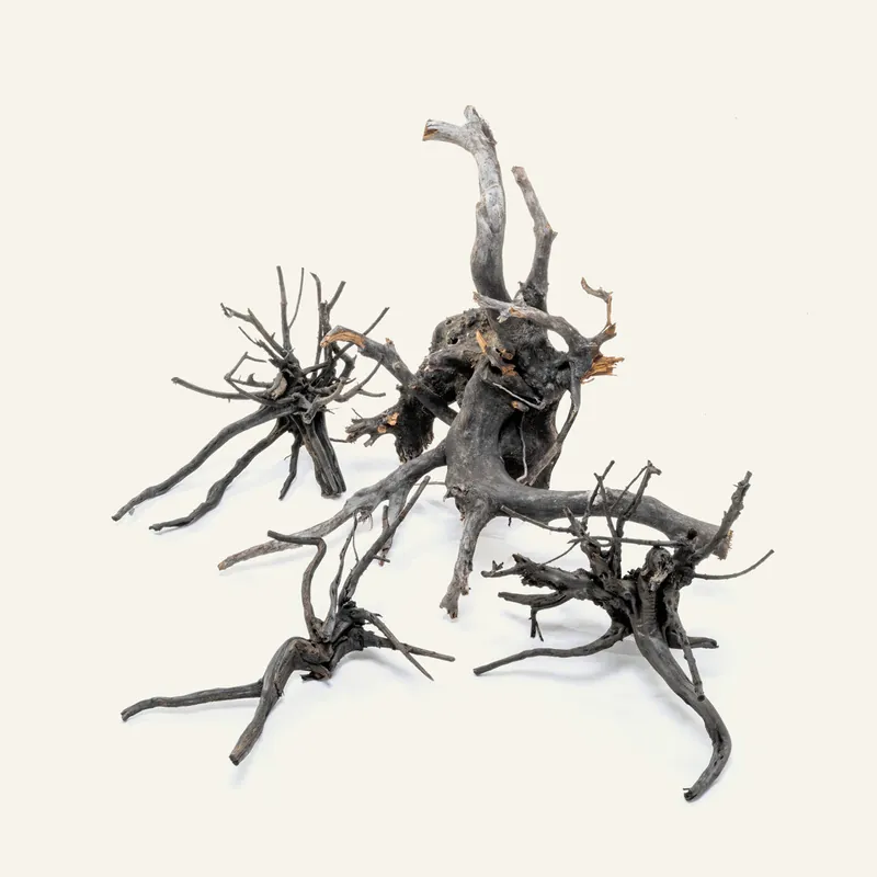 Black Forest Spider Wood - UNSHARDSCAPE