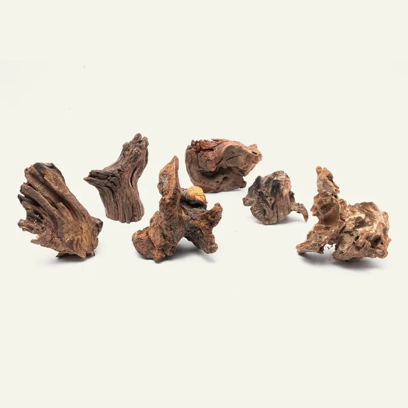 Malaysian Driftwood Stump - UNSHARDSCAPE
