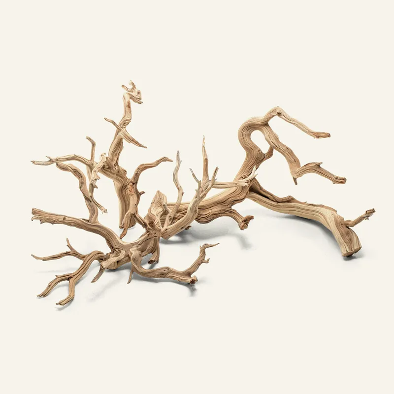 Ghost Wood - UNSHARDSCAPE