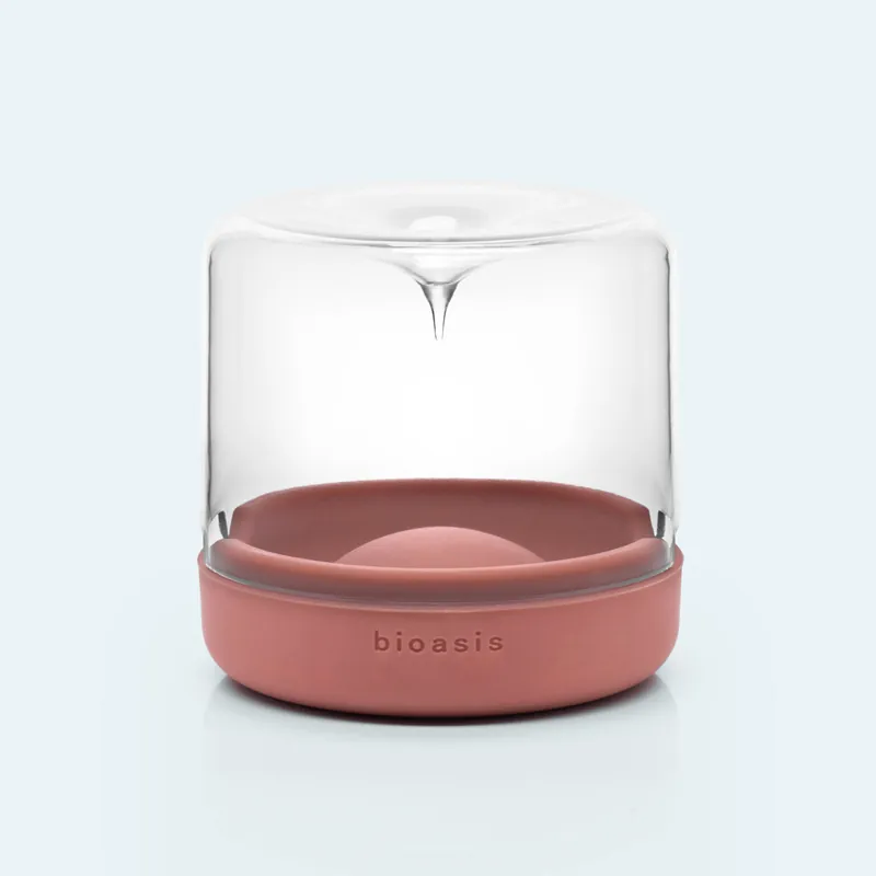 Natura Bioasis Terrarium S