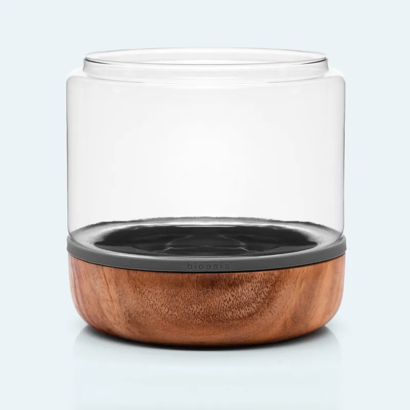 Natura Bioasis Terrarium M