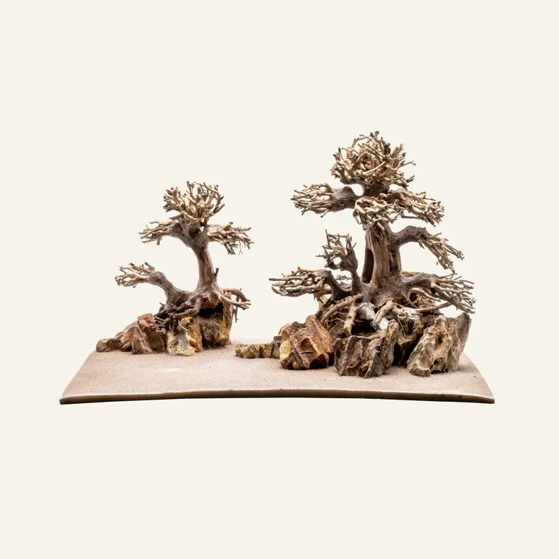 UNS Strata Pro Type 10 - UNSHARDSCAPE