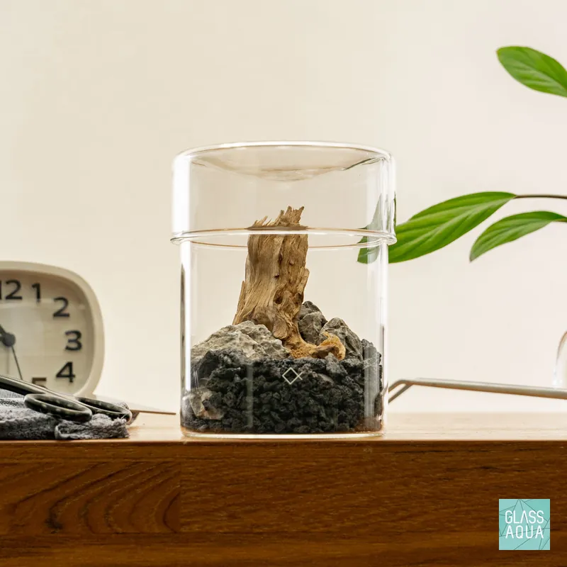 Miniature Terrarium Kit 014 - Glass Aqua