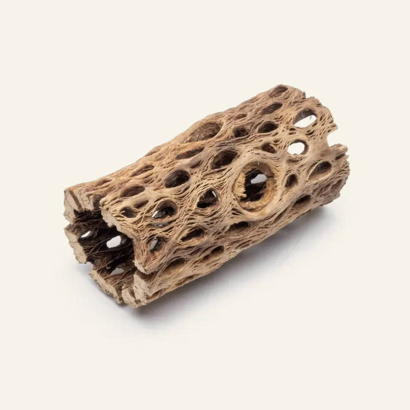 Cholla Wood - 4 Inch