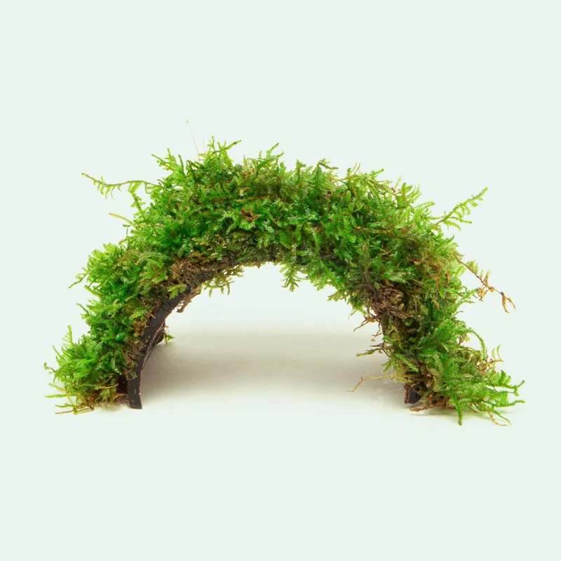 Christmas Moss Bridge Decor - WCA