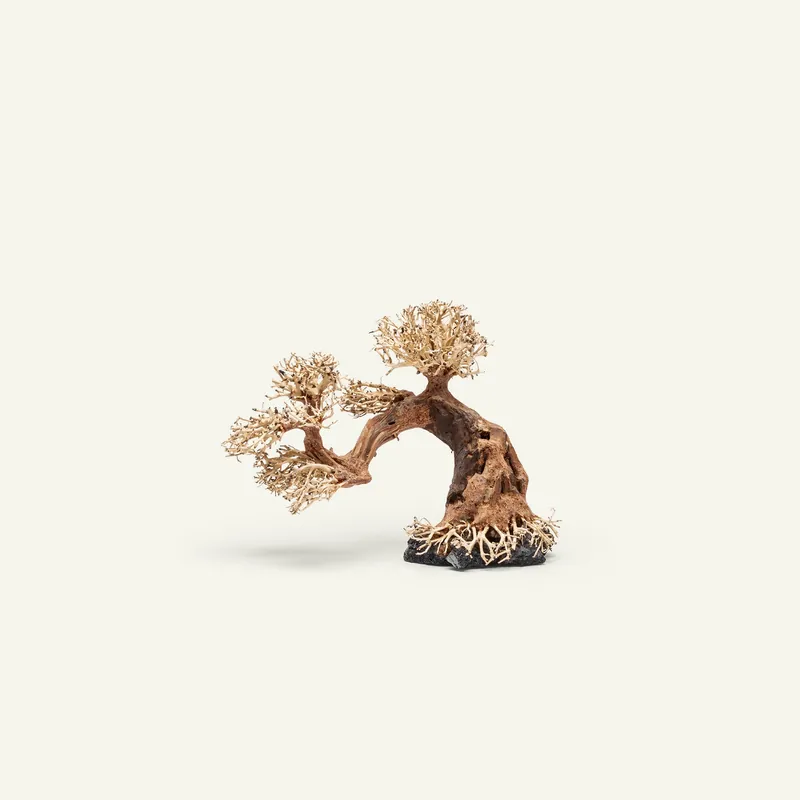 UNS Bonsai 006 - UNSHARDSCAPE